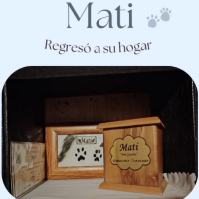 Captura de pantalla 2024-06-09 172235