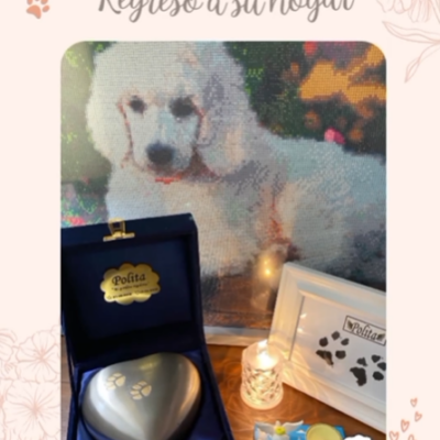 Captura de pantalla 2024-06-09 173237