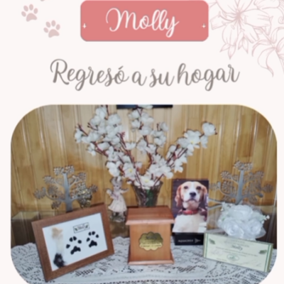 Captura de pantalla 2024-06-09 174213