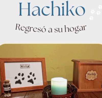 Captura de pantalla 2024-06-09 174508