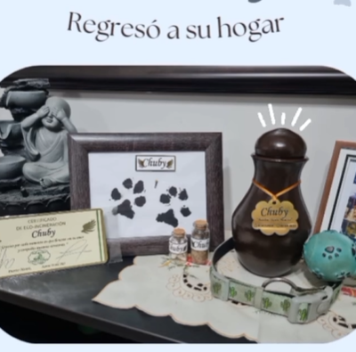 Captura de pantalla 2024-06-09 175018