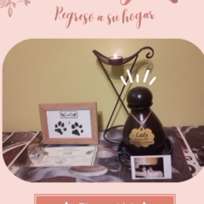 Captura de pantalla 2024-06-09 180042