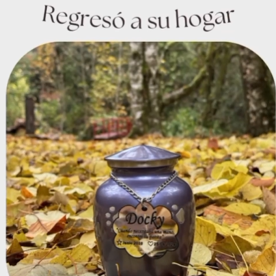 Captura de pantalla 2024-06-09 180158