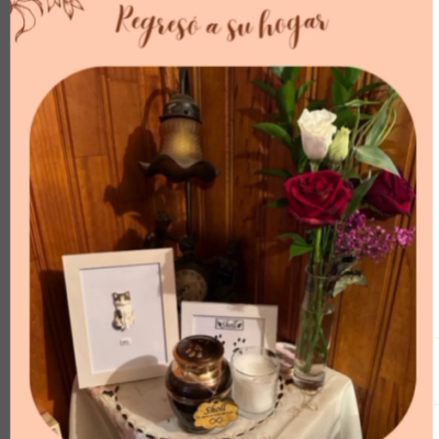 Captura de pantalla 2024-06-14 190131