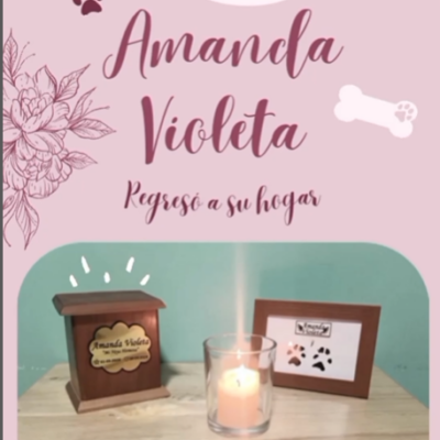 Captura de pantalla 2024-06-14 190335