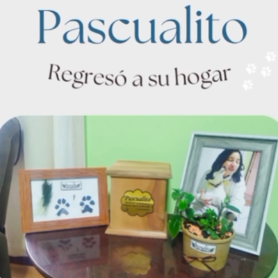 Captura de pantalla 2024-06-14 190405