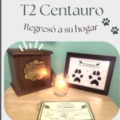 Captura de pantalla 2024-06-14 190441