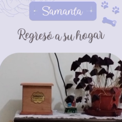 Captura de pantalla 2024-06-14 190509