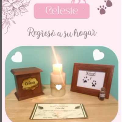 Captura de pantalla 2024-06-14 190536