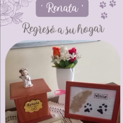 Captura de pantalla 2024-06-14 190610