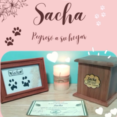 Captura de pantalla 2024-06-14 190855