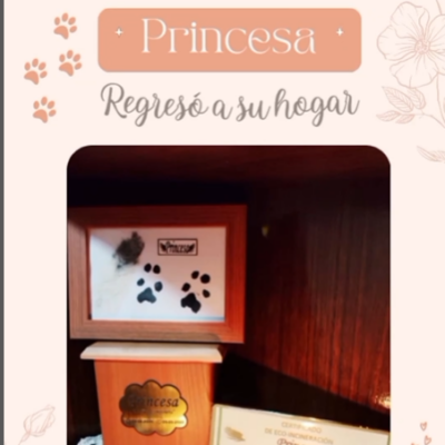 Captura de pantalla 2024-06-14 192447