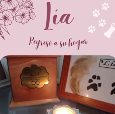 Captura de pantalla 2024-06-14 192526