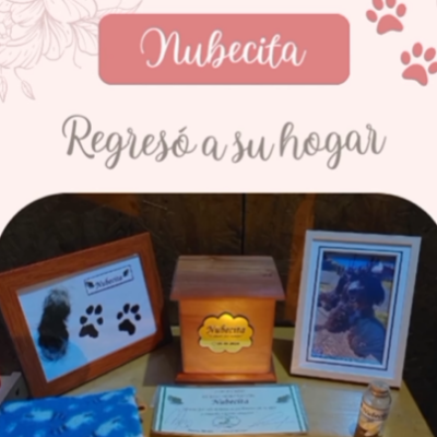 Captura de pantalla 2024-06-14 192646