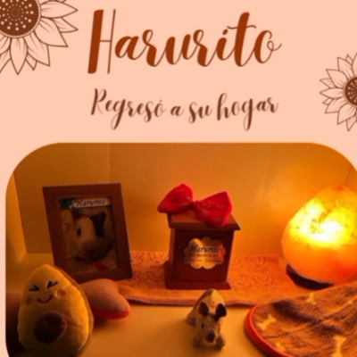 Captura de pantalla 2024-06-14 192735