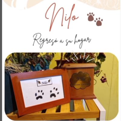 Captura de pantalla 2024-06-14 192807