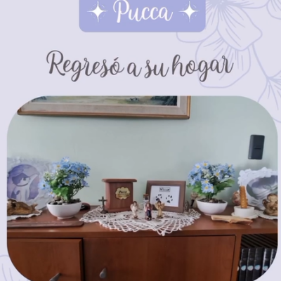 Captura de pantalla 2024-07-27 102637