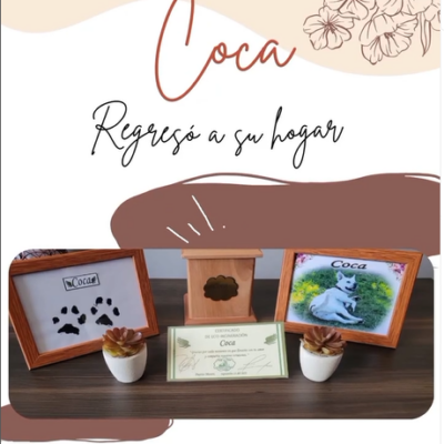 Captura de pantalla 2024-07-27 102720