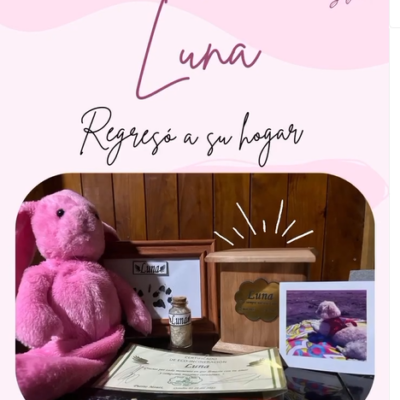 Captura de pantalla 2024-07-27 102914