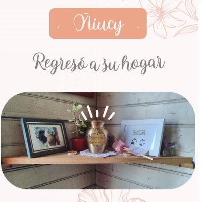 Captura de pantalla 2024-07-27 103147