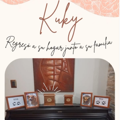 Captura de pantalla 2024-07-27 103324