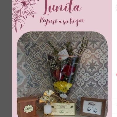 Captura de pantalla 2024-07-27 103502