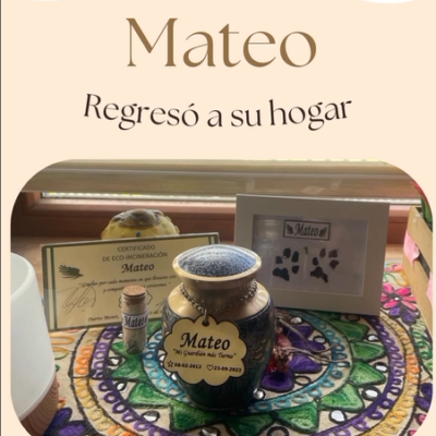 Captura de pantalla 2024-07-27 103746