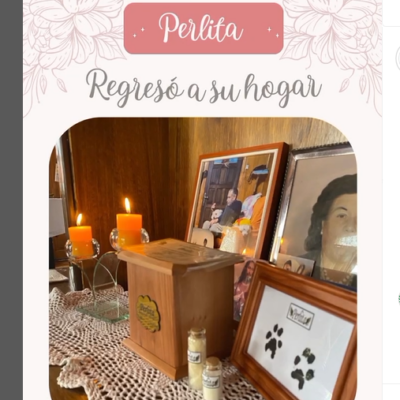 Captura de pantalla 2024-07-27 103830