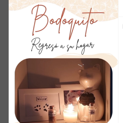 Captura de pantalla 2024-07-27 103929