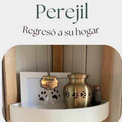 Captura de pantalla 2024-07-27 104117