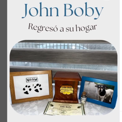 Captura de pantalla 2024-07-27 115210