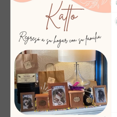 Captura de pantalla 2024-07-27 115331