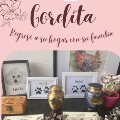 Captura de pantalla 2024-07-27 115504