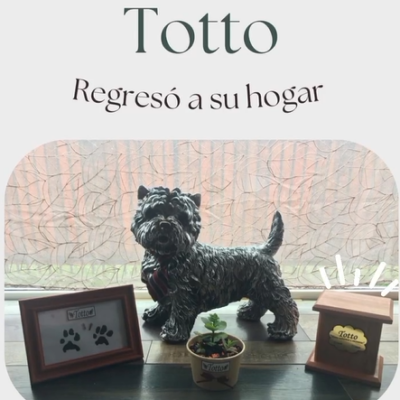 Captura de pantalla 2024-07-27 115542