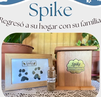 Captura de pantalla 2024-07-27 115820