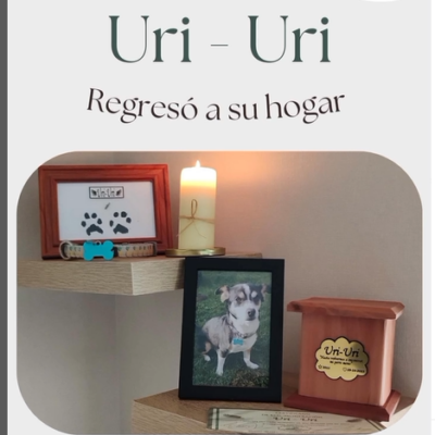 Captura de pantalla 2024-07-27 123948