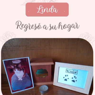 Captura de pantalla 2024-07-27 124241