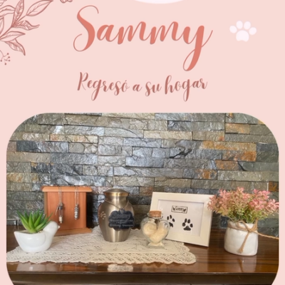 Captura de pantalla 2024-07-27 124451