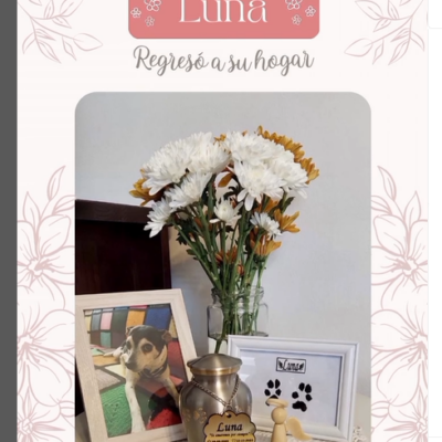 Captura de pantalla 2024-07-27 142655