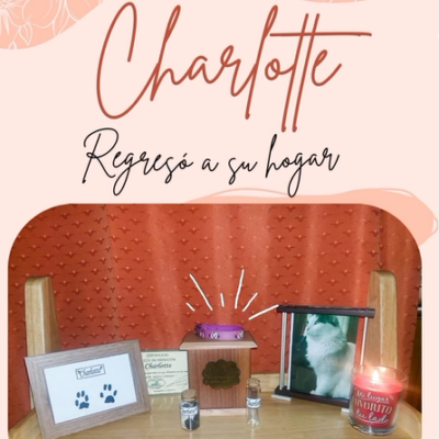 Captura de pantalla 2024-07-27 142834