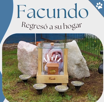 Captura de pantalla 2024-07-27 142926