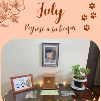 Captura de pantalla 2024-07-27 143012