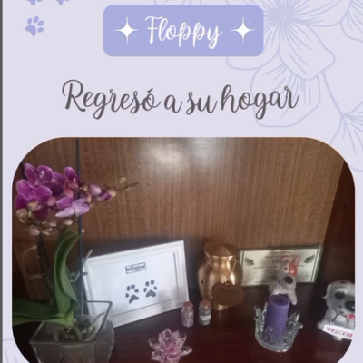 Captura de pantalla 2024-07-27 143057