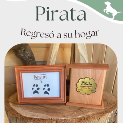 Captura de pantalla 2024-07-27 143239