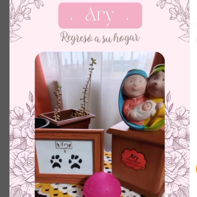 Captura de pantalla 2024-07-27 143333