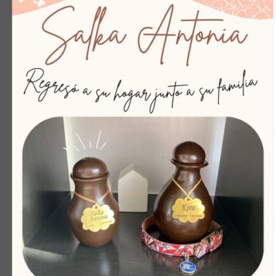 Captura de pantalla 2024-07-27 143441