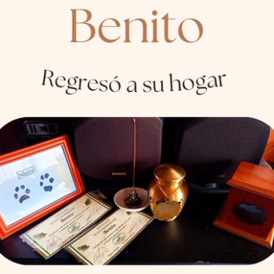 Captura de pantalla 2024-07-27 143523