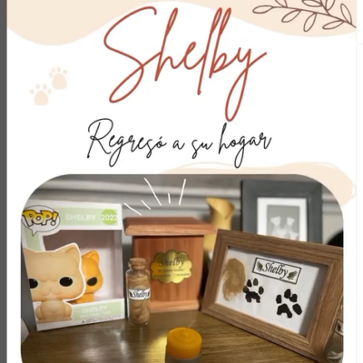 Captura de pantalla 2024-07-27 143639