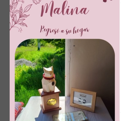 Captura de pantalla 2024-07-27 144032