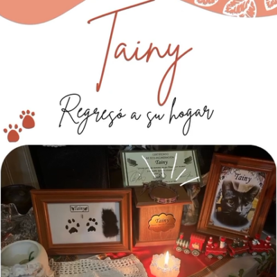 Captura de pantalla 2024-07-27 144157